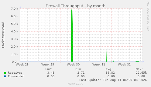Firewall Throughput