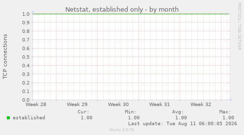 Netstat, established only